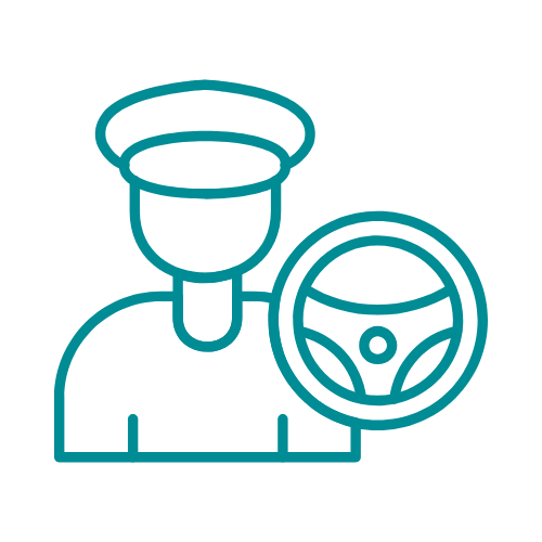 Personal driver (Mercedes V-Class)